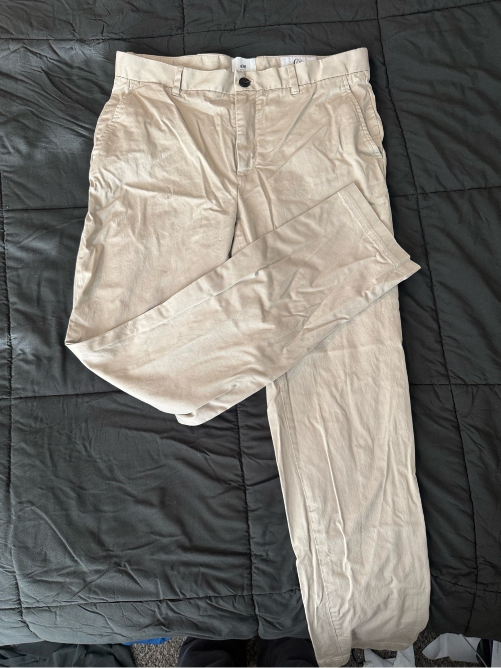 Dress Pants
